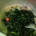 Cooksnap dari iniNia untuk resep Sayur Daun Singkong Santan