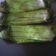 Cooksnap dari Rachel Kaburuan untuk resep Nasi bakar ayam suwir pedas