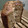 El cooksnap de Nicolas Carlotto cuando hizo Pan dulce con sabor a panettone (panificadora).