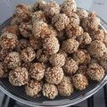 Cooksnap dari intan lestari untuk resep Kue ketawa