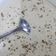 Cooksnap dari sylvi hidayana untuk resep Mushroom Cream Soup (124)