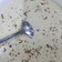 Cooksnap dari sylvi hidayana untuk resep Mushroom Cream Soup (124)