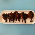Cooksnap dari Selly Christina untuk resep Chicken wings ala Pizza Hut