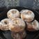 Cooksnap dari Krisna@pawonndogpecah untuk resep Donat empuk tanpa ulen