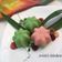 Cooksnap dari Pratiwi Pramuharsih untuk resep Apem nasi
