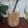 El cooksnap de Lena T cuando hizo Agua de avena dorada.