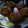 El cooksnap de Alicia Rivarola cuando hizo Cupcakes de Chocolate.