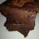 Czimer-Bárány Beáta Cooksnap-ja, amikor elkészítette a(z) Brownie (eredeti amerikai recept alapján) receptet.