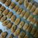 Cooksnap dari Lia PrimaDani untuk resep Kastengel Cheddar Cookies