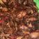 Cooksnap dari tufailaisy untuk resep Cumi Saus Padang