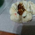 Cooksnap dari tsai xiaophei untuk resep Bakpao sederhana (Model Xiao long pao)