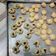 Cooksnap dari Asri Akbar untuk resep Sus Kering Keju