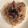 moonsun13's cooksnap of when they made Gyū Don.