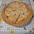 Christina T's cooksnap of when they made Apple Pie Filling.