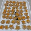 Cooksnap dari Shanaz untuk resep Dinsum Ayam Wortel (Resep baru)