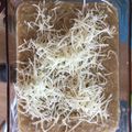 El cooksnap de marta landa cuando hizo Risotto de champiñones con thermomix.