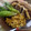 Cooksnap από Sitronella στη συνταγή Μπιφτέκια λαχανικών φούρνου