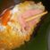 Cooksnap dari Dilla danetha untuk resep Corndog Mozarella Tanpa Telur