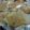 Cooksnap dari delian sjiariel (ssmum) untuk resep Crepes crispy