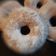 Cooksnap dari Anggia Hapsari untuk resep Donat meizena lembut