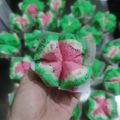 Cooksnap dari Lie Ping untuk resep BOLU KUKUS SEMANGKA