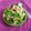 Nita Prajesh Suthar's cooksnap of when they made વેજિટેબલ ઉપમા (Vegetable Upma Recipe In Gujarati).