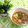 Cooksnap dari Chusnul Chotimah untuk resep Cumi saus padang sederhana