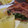 El cooksnap de Arethon C. Zamudio cuando hizo Rollo de carné envuelto en bacon; relleno de espinacas, jamón y.