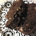 momwhats4dinner's cooksnap of when they made Chocolate Peanut Butter Banana Nut Bread.