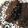 momwhats4dinner's cooksnap of when they made Chocolate Peanut Butter Banana Nut Bread.