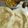 Deepti Kulshrestha's cooksnap of when they made Choley Bhature.