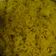 Harsheeta का कुकस्नैप जब उन्होंने मटर का पुलाव (matar ka pulao recipe in Hindi) बनाया था।