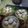 Cooksnap dari Shanaz untuk resep Rondo Royal