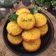 Cooksnap dari OpiBun untuk resep Bika Ambon