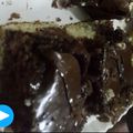 صورة من لانا الحربي، شاركها بعد تجربة وصفة ماربل كيك 🍰
