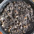 El cooksnap de Ana Barco cuando hizo Arroz negro con sepia y mejillones.