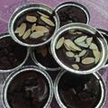 Cooksnap dari Devi Yanthi untuk resep Fudgy Brownies Cup