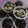 Cooksnap dari Devi Yanthi untuk resep Fudgy Brownies Cup