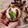 El cooksnap de Mate Amargo 🧉🍪 cuando hizo Tartitas navideñas  Rudolf "el reno"🎅🎅🎅.