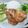 Cooksnap dari Indri Nuzul untuk resep Ayam Pop ala RM Padang