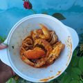 Cooksnap dari erika putri untuk resep Kepiting Saus Padang
