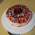 hellokittyfan013183's cooksnap of when they made Basic Creamy Vanilla Buttercream Frosting.