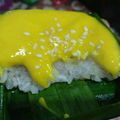 Cooksnap dari Vita Yanti untuk resep KETAN MANGGA LUMER 