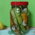 کوک اسنپ Leonella بعد از امتحان کردن شور ترشی فلفل سبز تند 👌🏻😋😜😊 Pickled pepper.