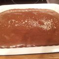 Katie's cooksnap of when they made Double O Brownies.