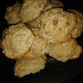 El cooksnap de La cocina rápida de Ani cuando hizo Galletas de avena y puré de manzana.