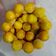 Cooksnap dari Dessy Kurniawati untuk resep Nastar Lumer (Tanpa butter)
