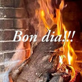 El cooksnap de Rosa Mary Félix Ballesta cuando hizo Solomillo de cerdo con champiñones y castañas.