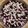 ⚡Welderwoman⚡'s cooksnap of when they made Cherry & White Chocolate Cobbler.