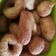 Cooksnap dari Umi Rakhmawati untuk resep Donat Anti Gagal
